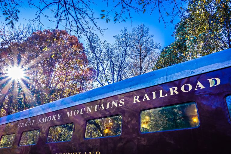 Train Trips USA